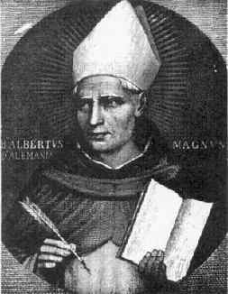 Picture of Albertus
  